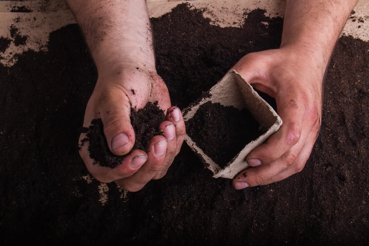 the-compost