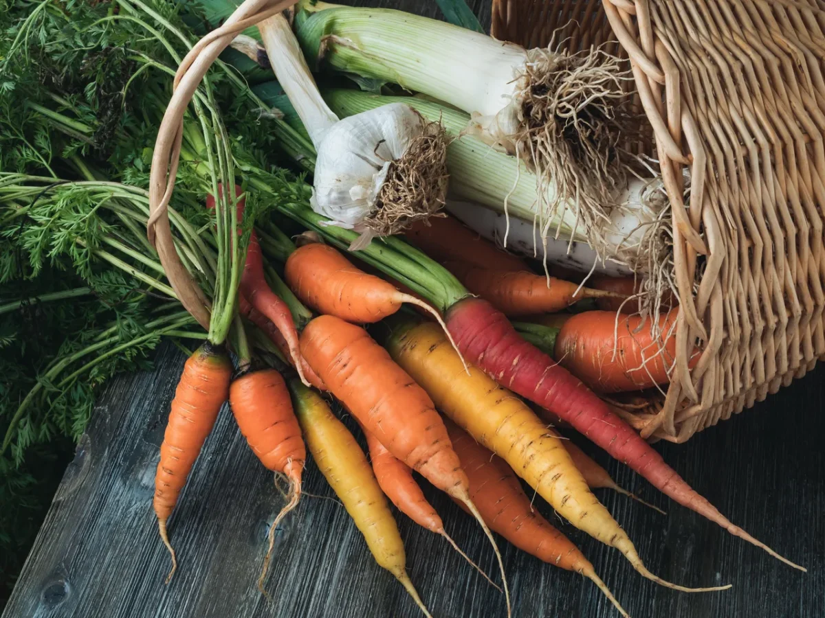 avoir-legumes-hiver