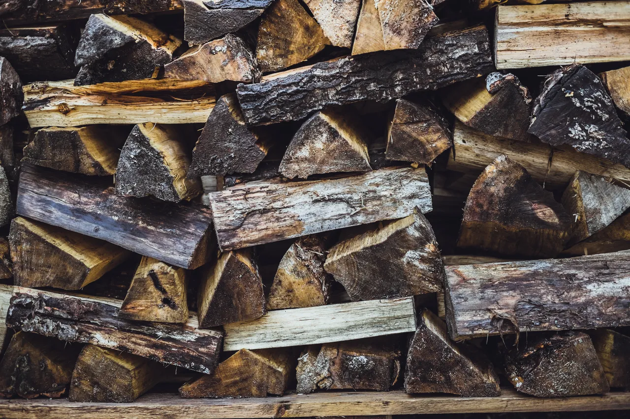 bois-chauffage-humide