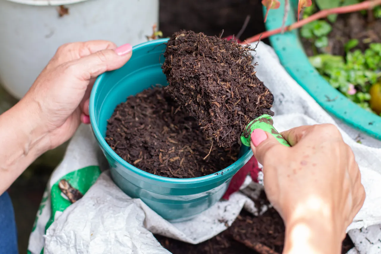 Mettre de la cendre dans le compost tout savoir sur les avantages, bienfaits et risques