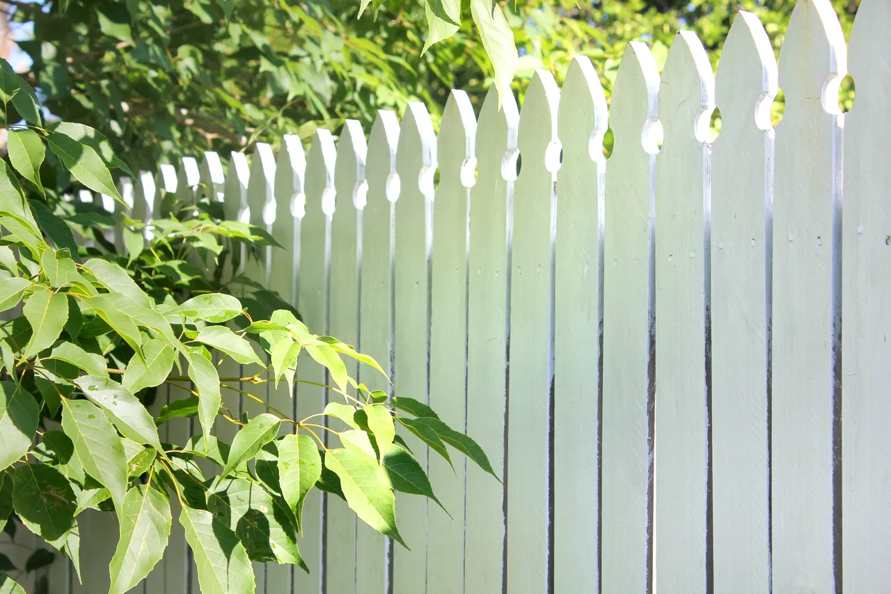 cloture-mitoyenne-jardin