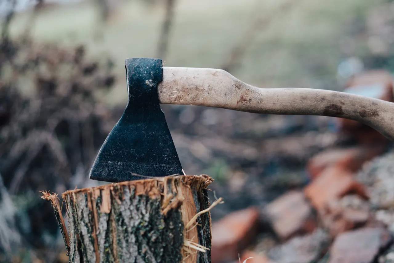 couper-facilement-bois-chauffage