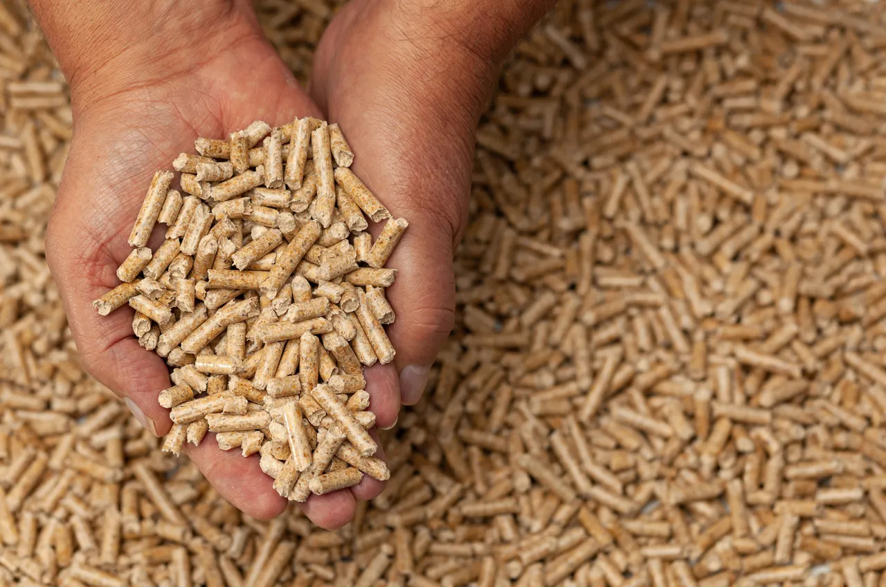 duree-poele-granules