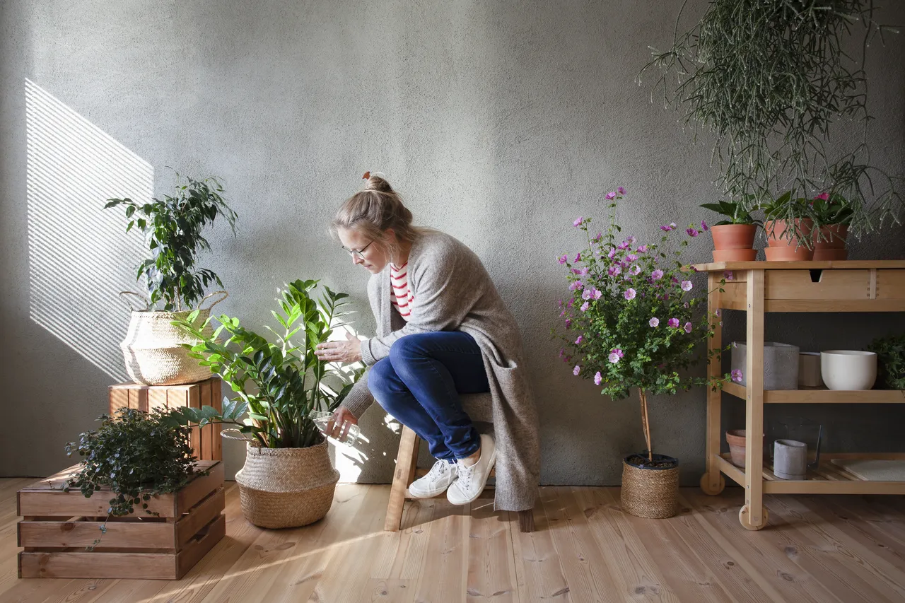 engrais-plantes-interieur