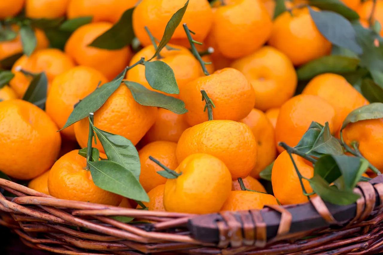 mandarine-ou-clementine