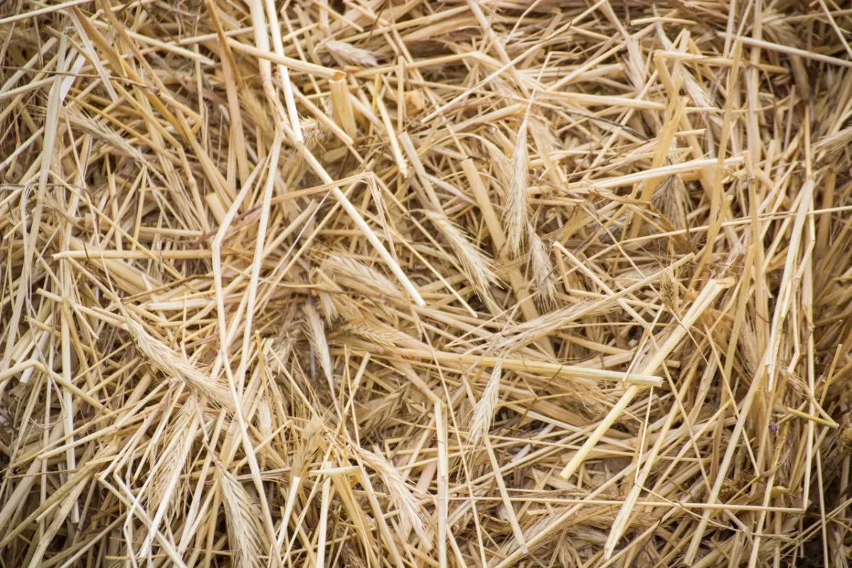 paille-ou-foin