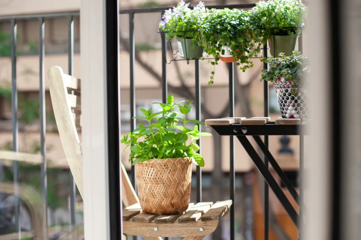 plantes-resistantes-balcon
