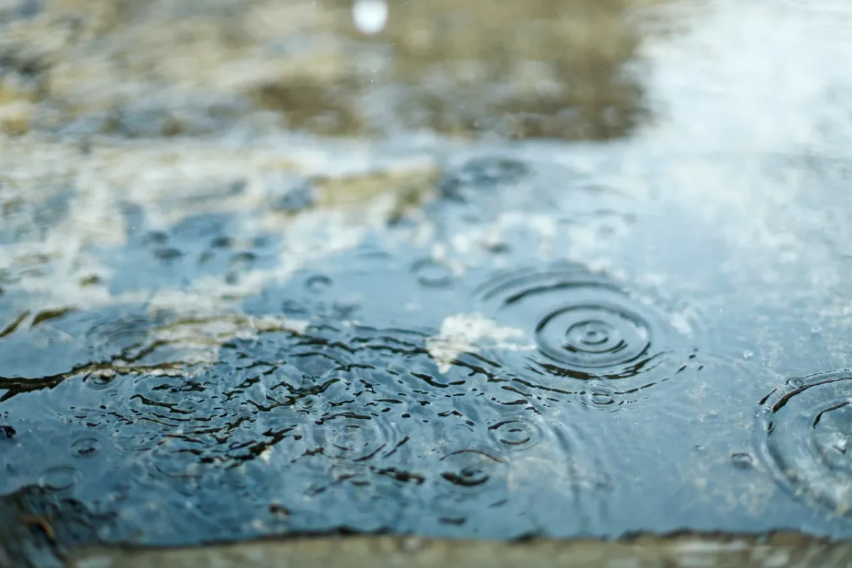 recuperer-eau-sans-gouttiere