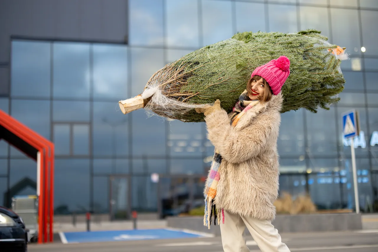 Noël magique avec Lidl : des sapins de qualité à petit prix ! Ne tardez 