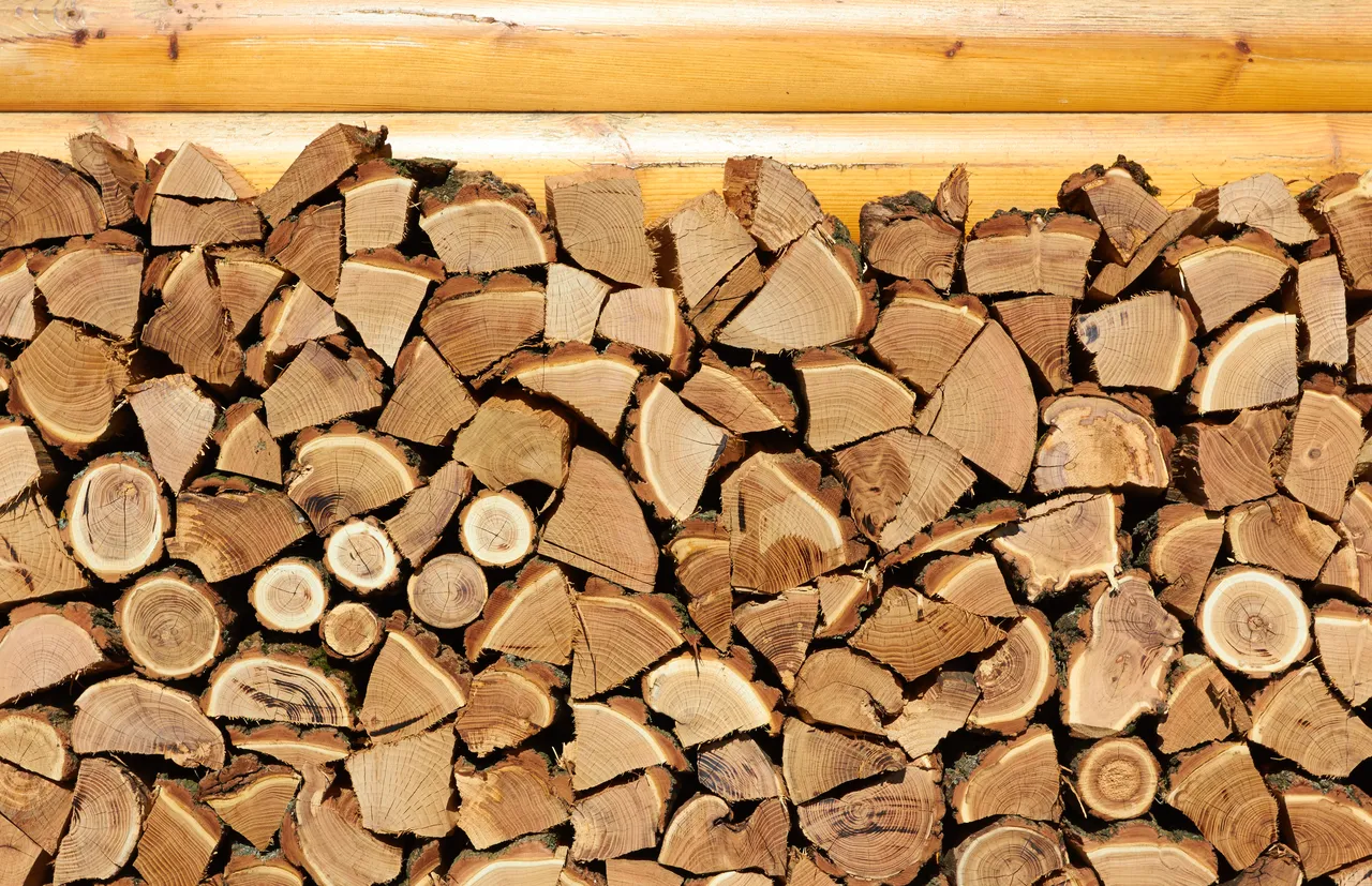 stock-bois-hiver