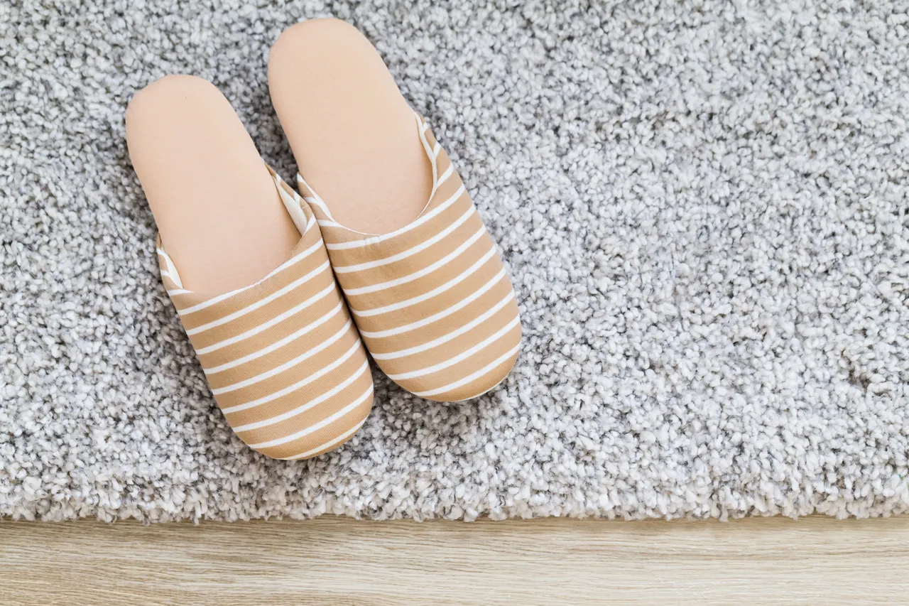 tapis-chauffant