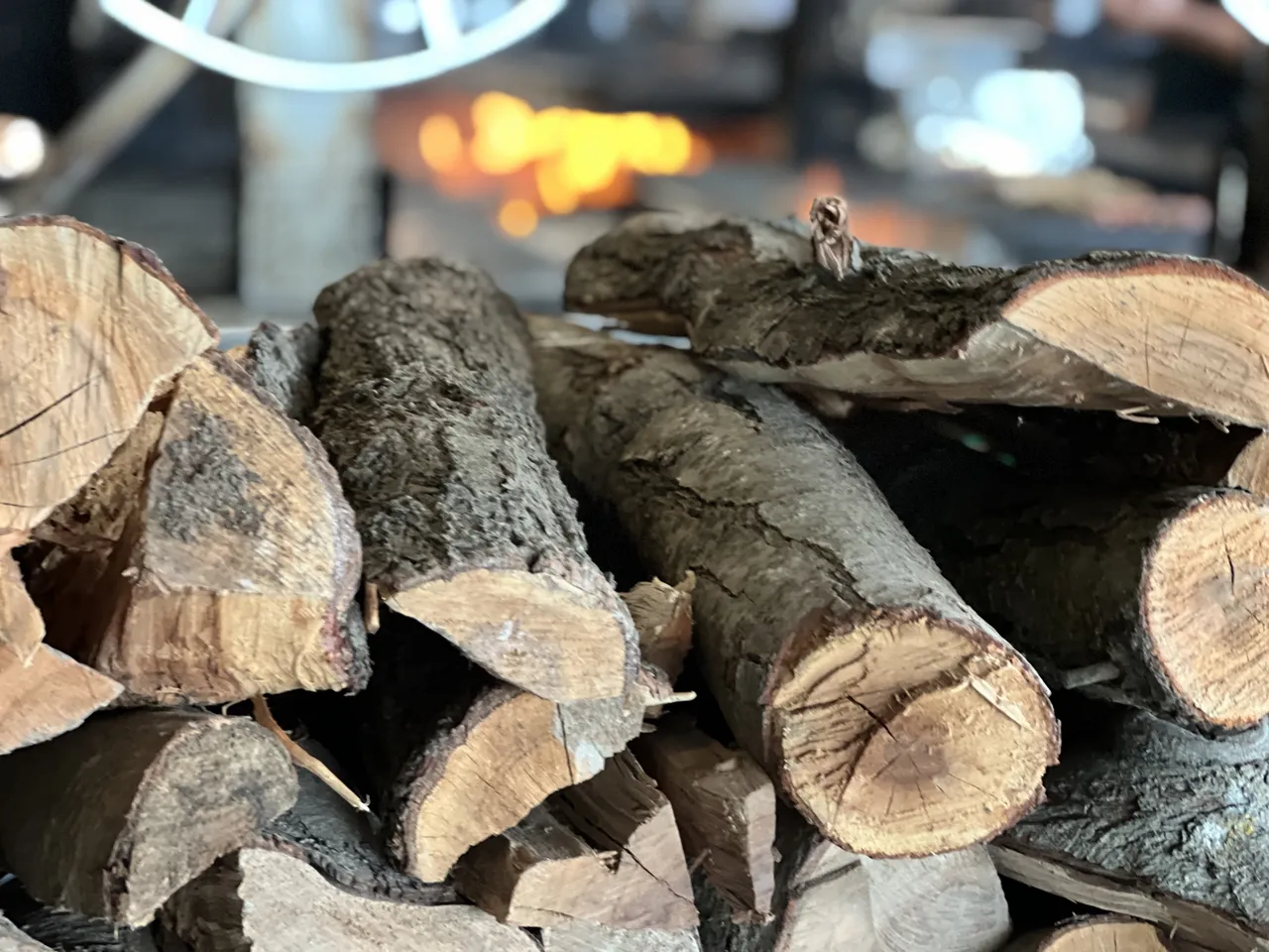 types-de-bois-ne-pas-utiliser