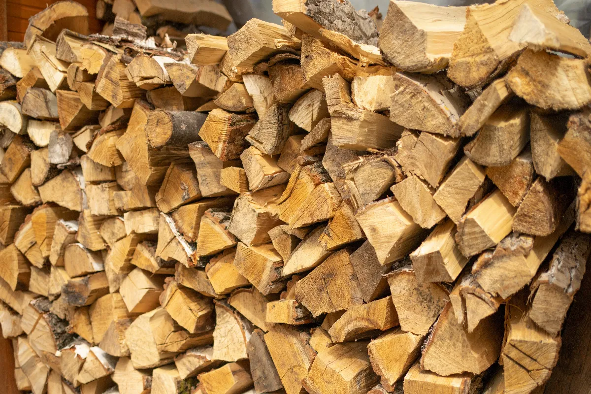 bois-de-chauffage-est-ce-toujours-rentable-de-se-chauffer-au-bois-en-2024
