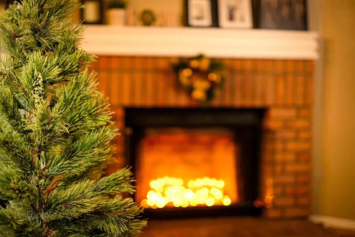 cheminee-feu-sapin