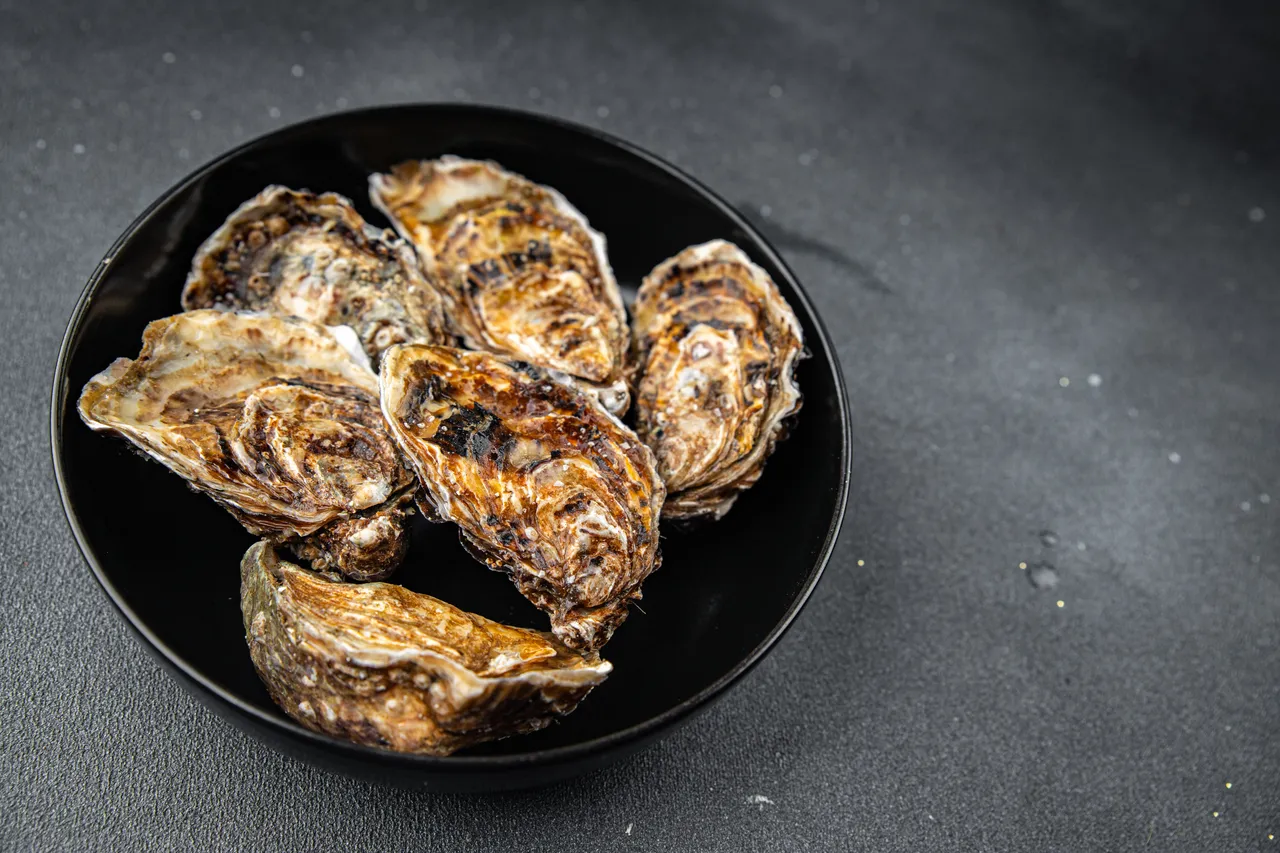 coquilles-huitres-jardin