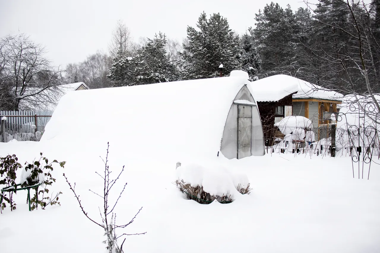 enlever-neige-jardin