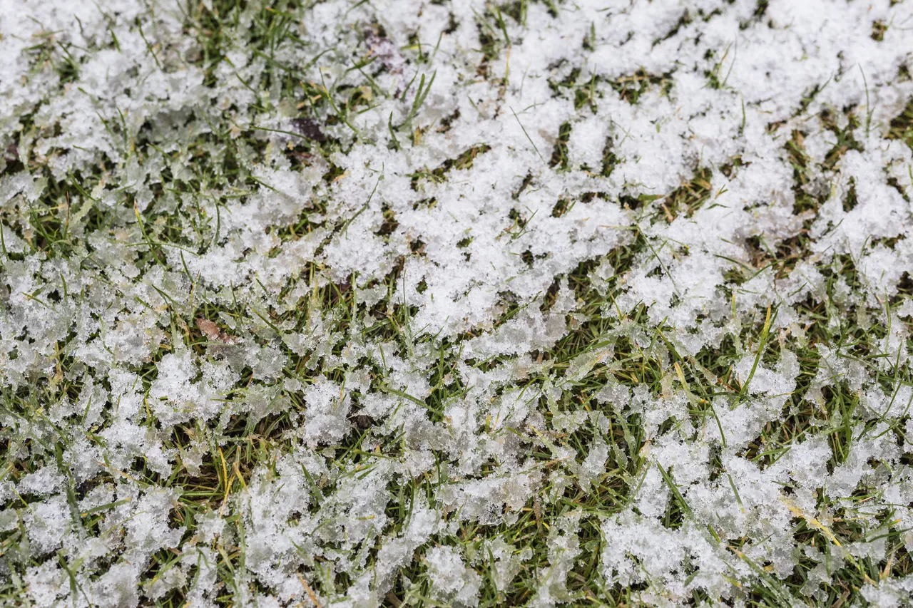 gestes-pelouse-hiver