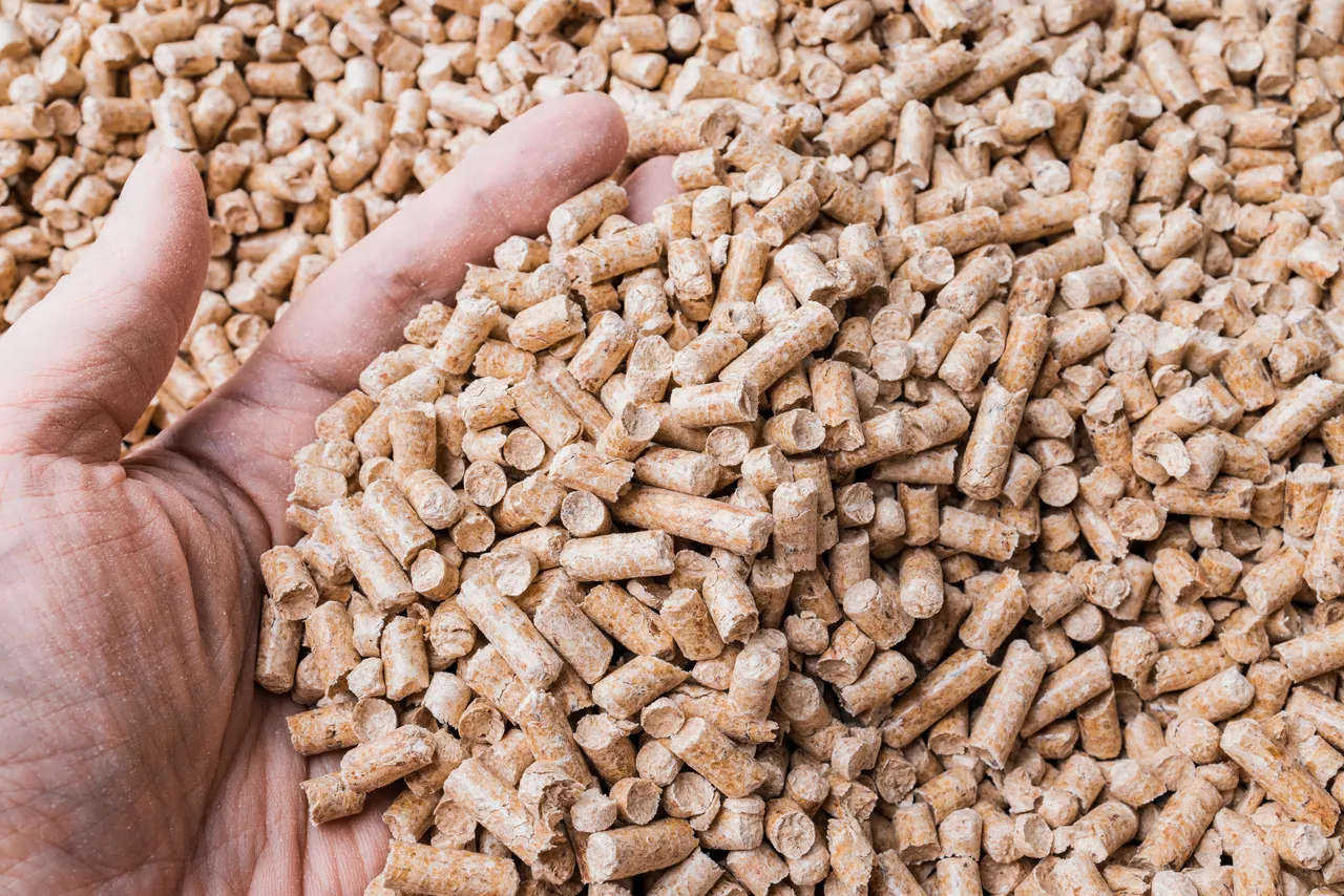 granules-bois-humide