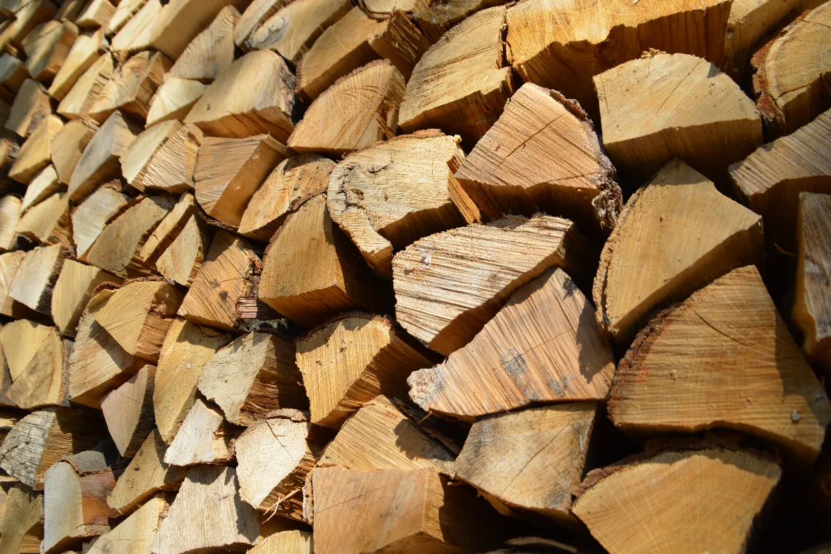 Les 3 bois de chauffage à utiliser cet hiver pour faire des