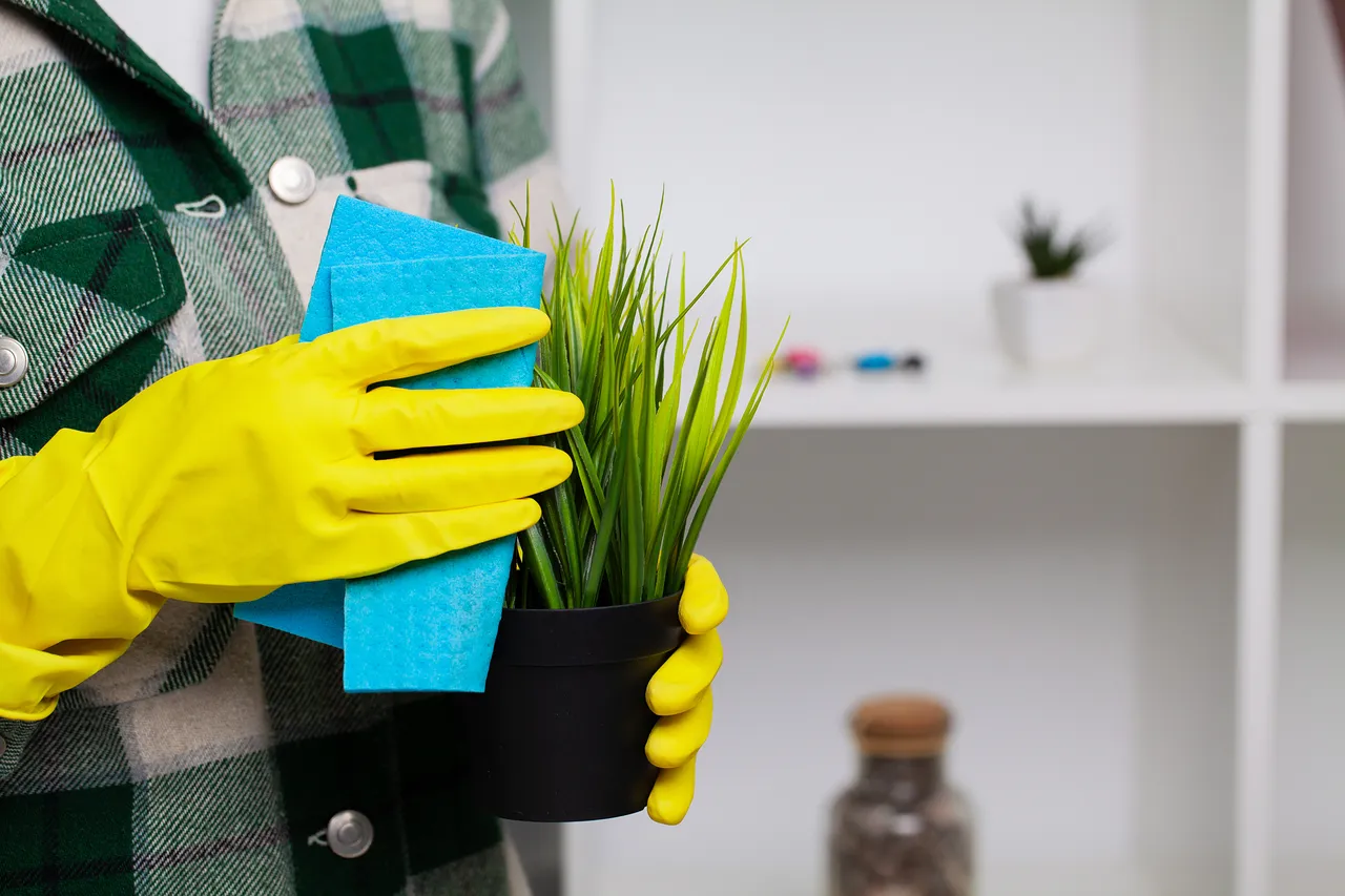 nettoyer-plantes-interieur