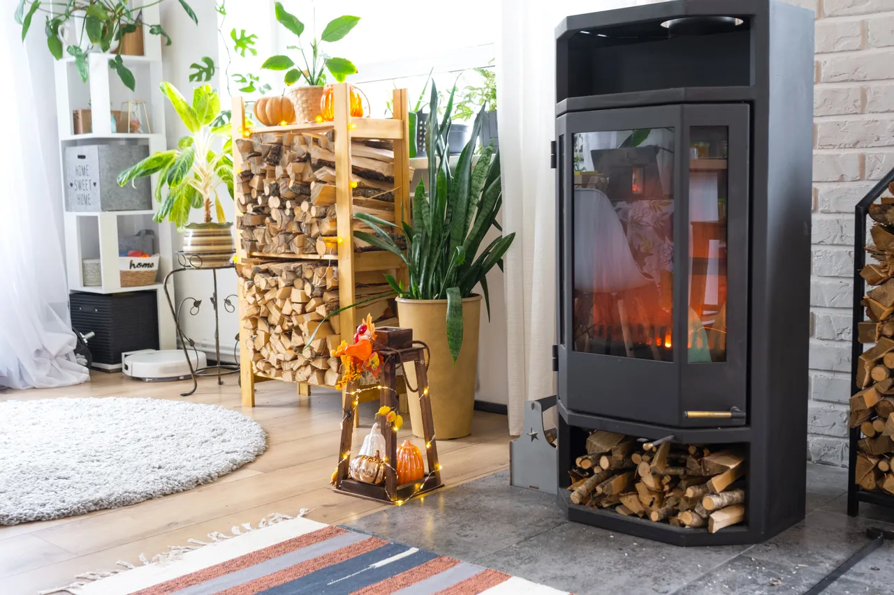 Poêle à bois en acier quelle durée de vie pour ce type de chauffage