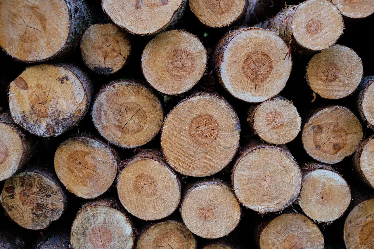 prix-stere-bois-janvier