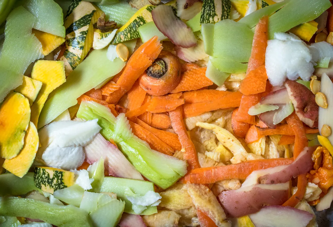 problemes-compost