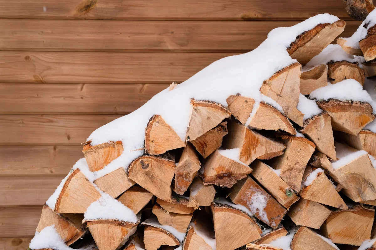 quel-est-le-prix-dun-stere-de-bois-en-2024-trouvez-le-meilleur-prix-pour-vous-chauffer