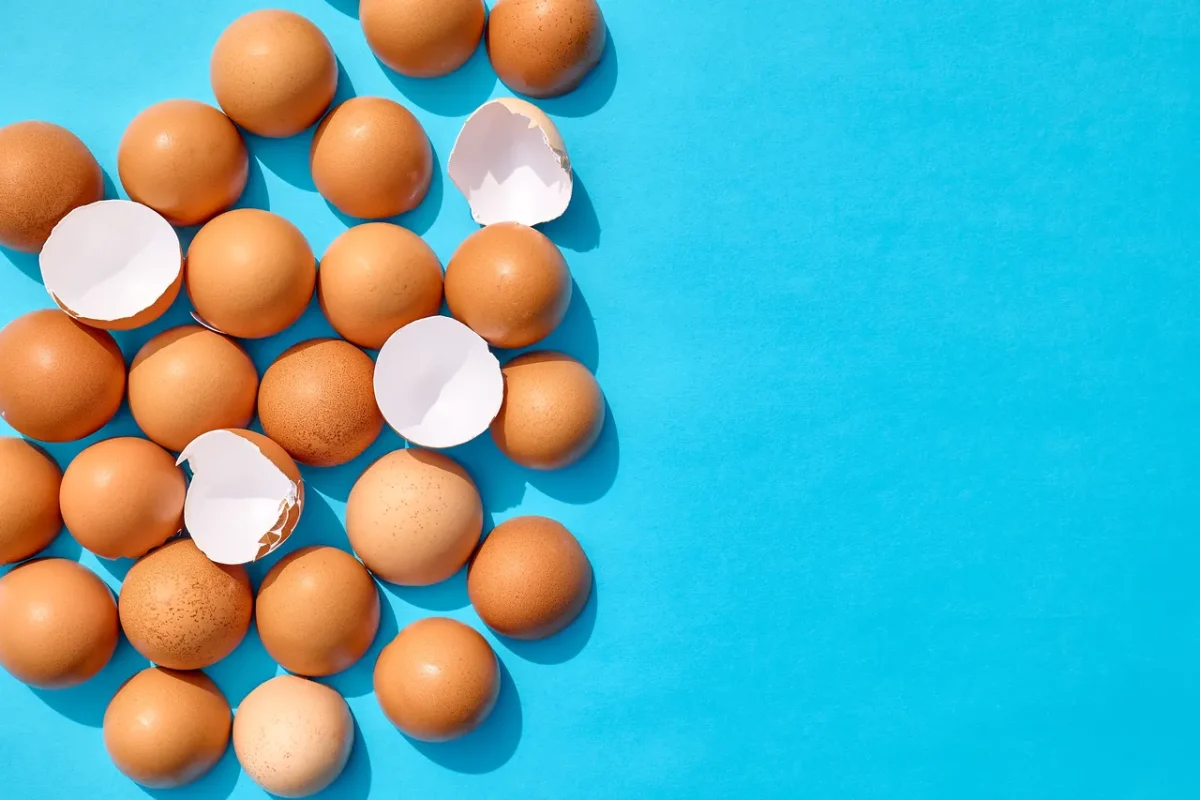 reutiliser-coquilles-oeuf