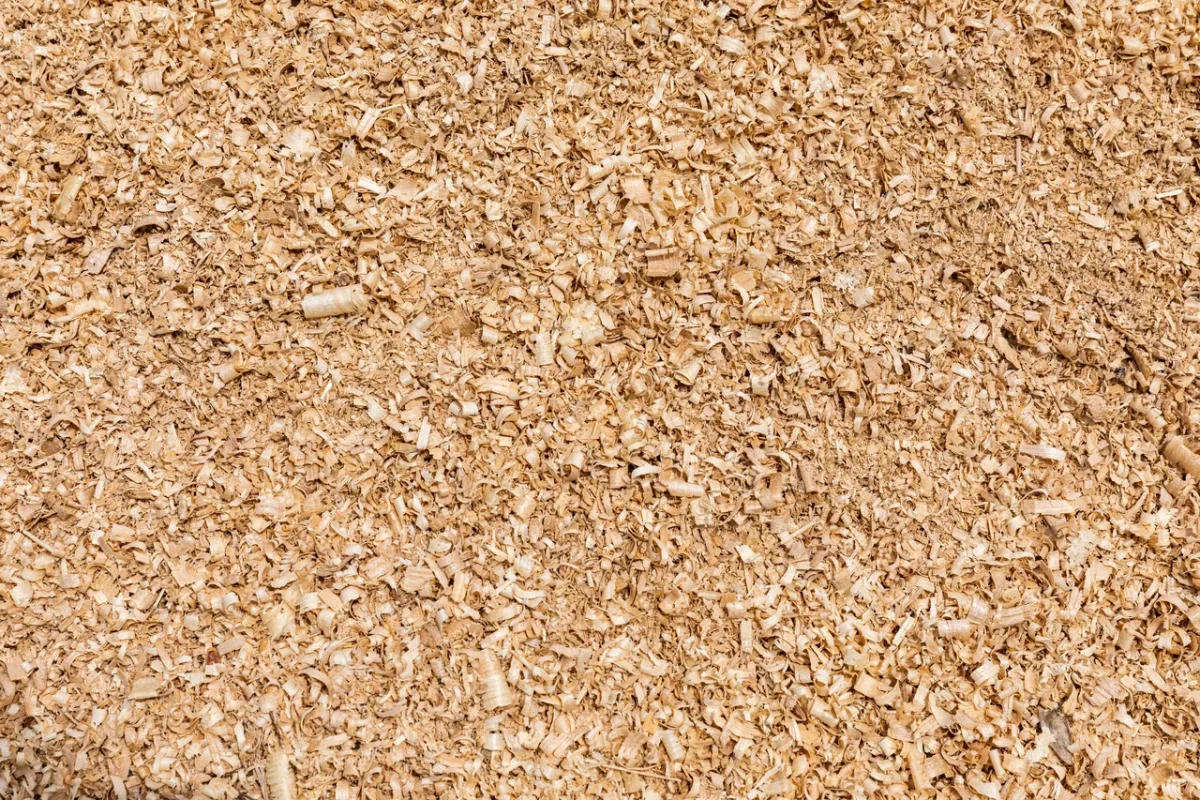 usage-sciure-bois-jardin