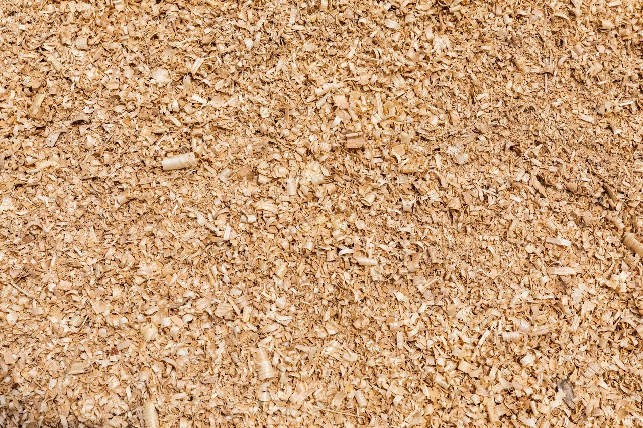 5 usages de la sciure de bois dans votre jardin découvrez les avantages méconnus