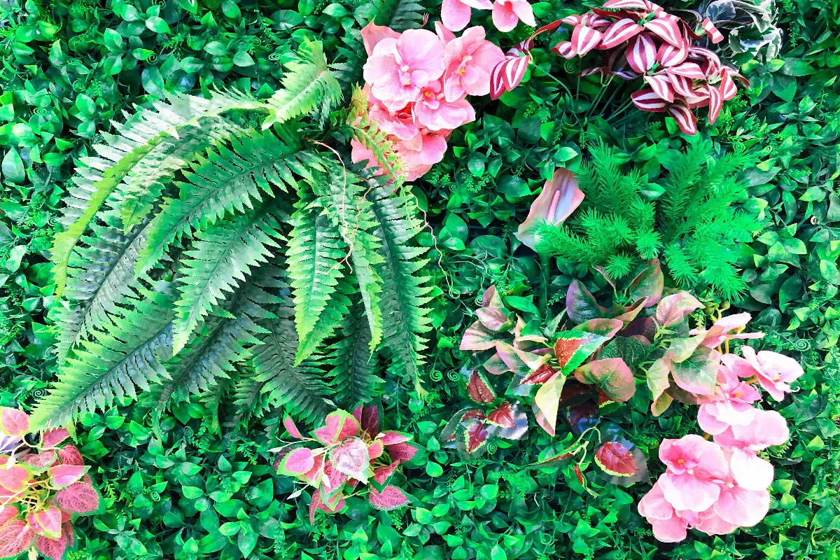 3-etapes-essentielles-pour-creer-un-jardin-vertical-unique-chez-vous