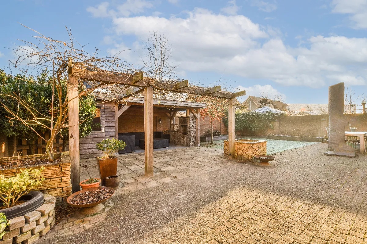 5-plantes-a-faire-pousser-des-maintenant-sur-votre-pergola-pour-avoir-de-lombre-cet-ete