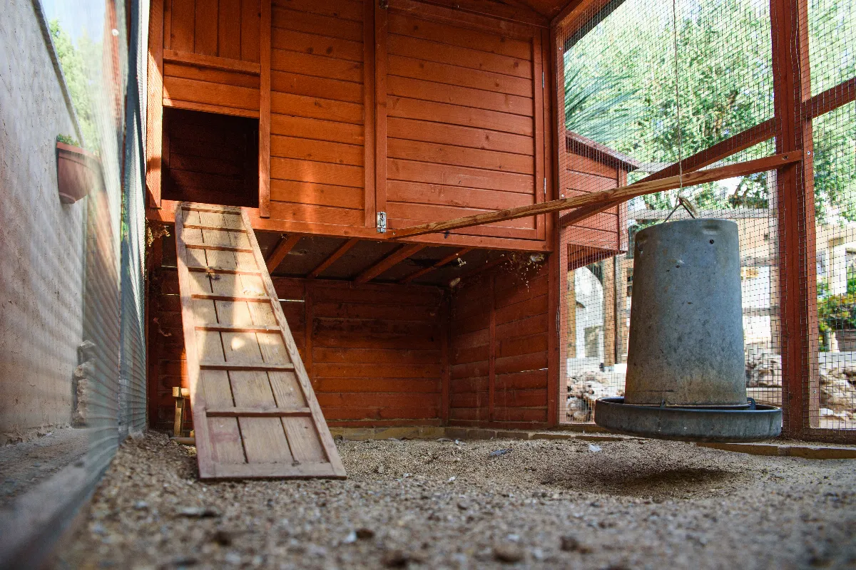 attention-a-cette-lourde-amende-si-vous-installez-un-poulailler-dans-leur-jardin