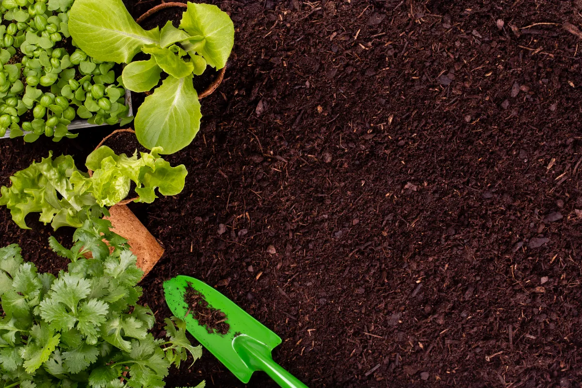 bien-preparer-son-potager-des-le-mois-de-fevrier-quelles-sont-les-etapes-clefs