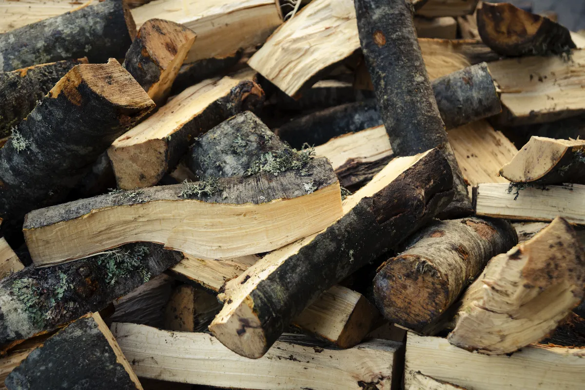bois-de-chauffage-comment-savoir-si-le-bois-est-bien-sec-pour-etre-utilise