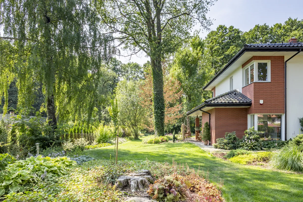 ces-7-arbres-a-ne-surtout-pas-planter-dans-le-jardin