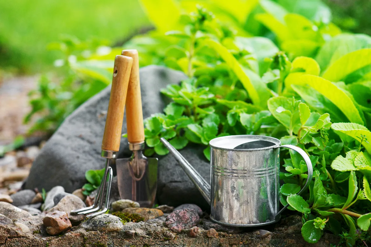 comment-faire-une-bordure-de-jardin-en-pierre-en-5-etapes-suivez-cette-technique-simple