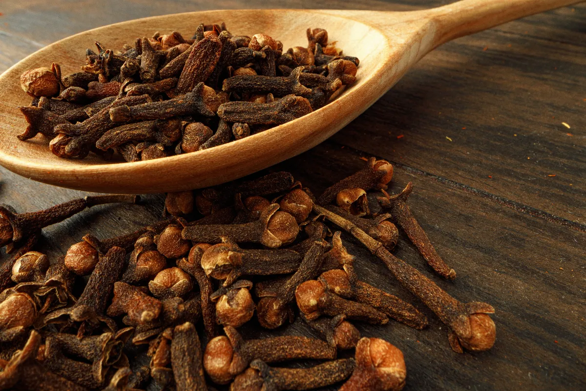 mettre-des-clous-de-girofle-dans-vos-plantes-dinterieur-decouvrez-les-bienfaits-insoupconnes-de-cette-astuce