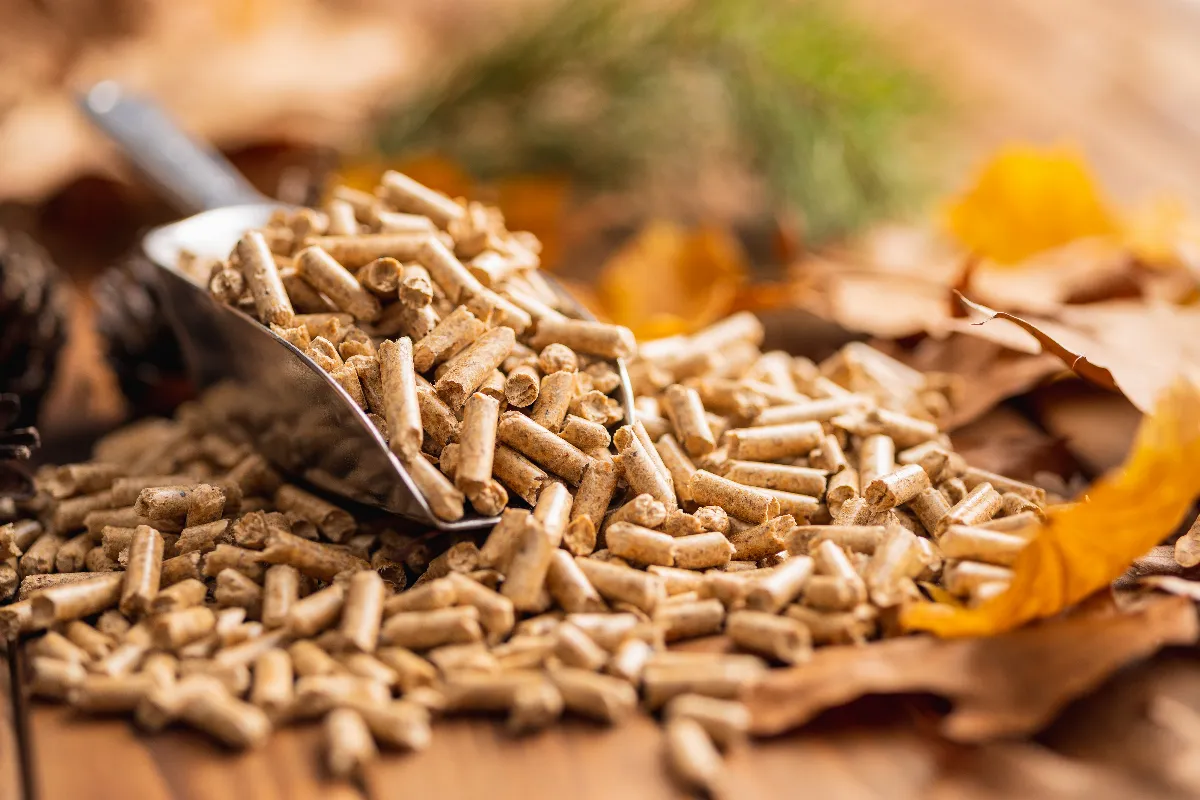 que-faire-si-vos-granules-de-bois-sont-humides