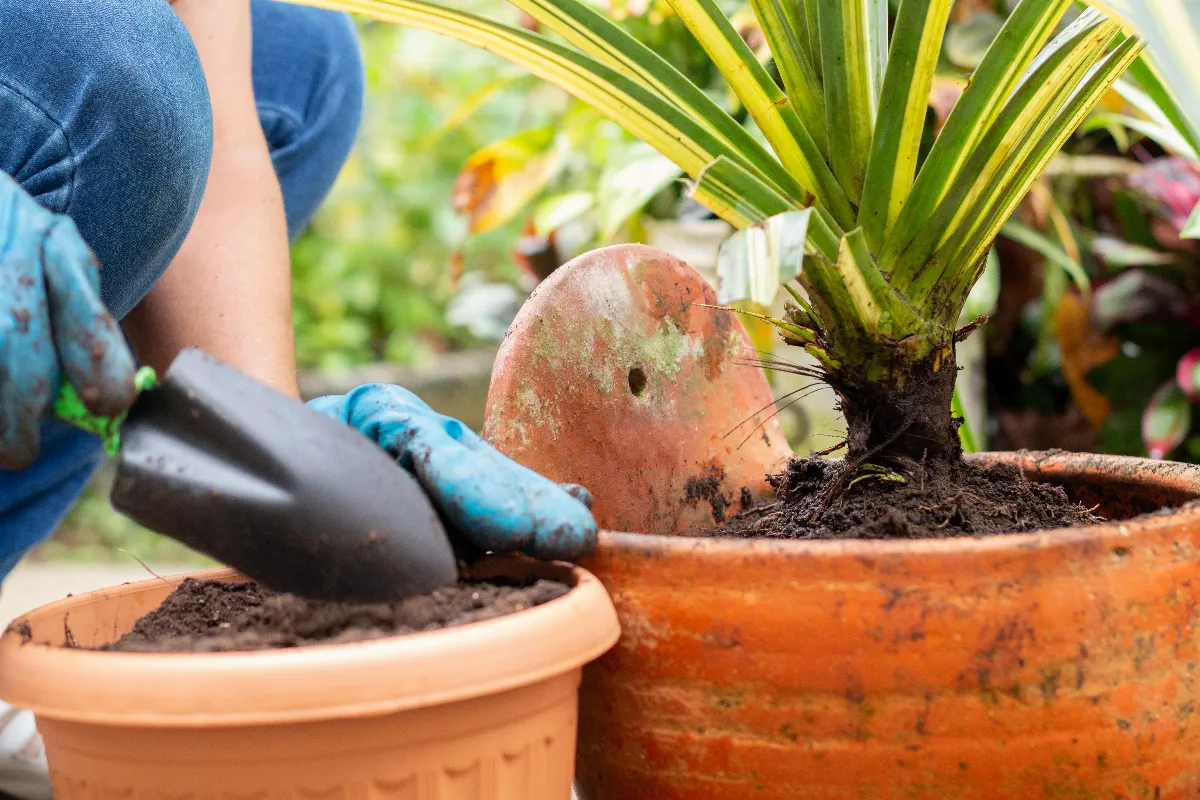 quel-est-cet-ingredient-magique-pour-que-votre-jardin-soit-en-pleine-sante