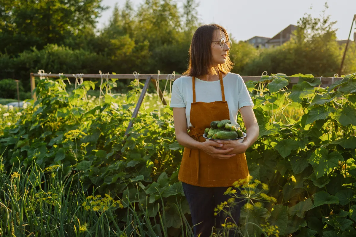 quels-legumes-planter-au-pied-de-vos-arbres-fruitiers-decouvrez-tous-les-avantages-de-ces-associations