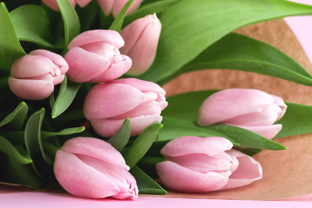 saint-valentin-4-fleurs-originales-a-offrir-pour-changer-des-classiques-roses