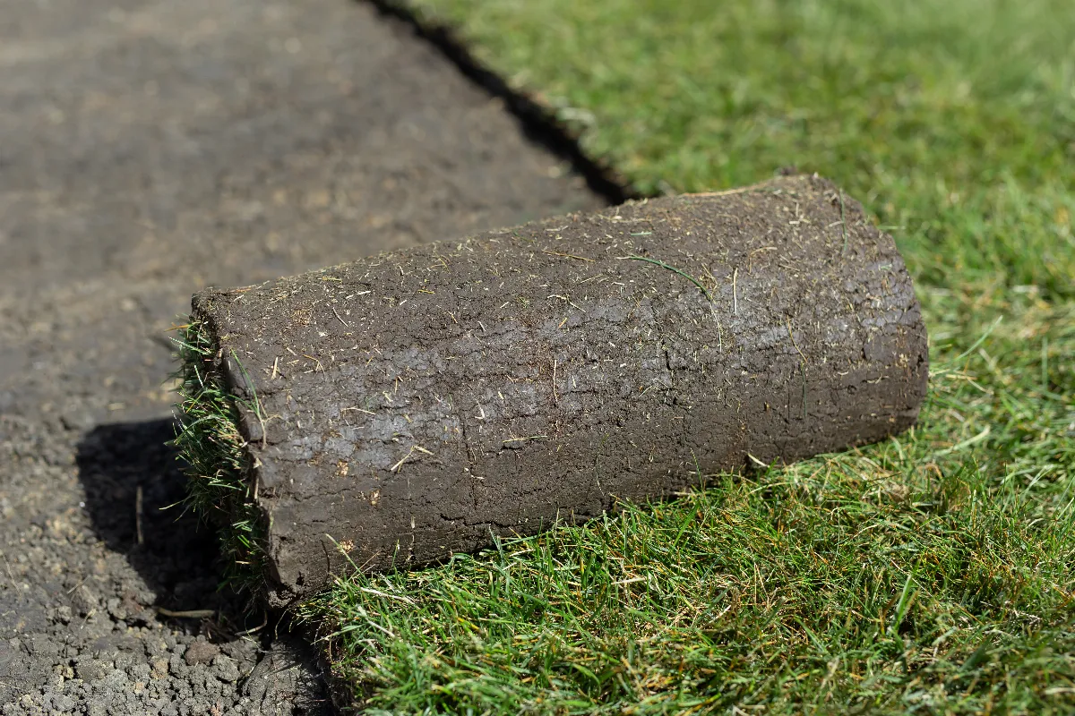 synthetique-ou-naturel-quel-type-de-gazon-choisir-pour-chez-votre-jardin