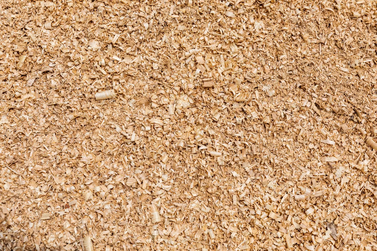 voici-les-5-utilisations-meconnues-de-la-sciure-de-bois-pour-redonner-vie-a-votre-jardin