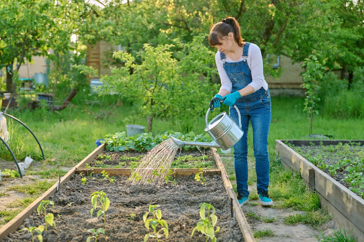 4-astuces-ingenieuses-pour-organiser-et-gagner-de-la-place-dans-votre-potager