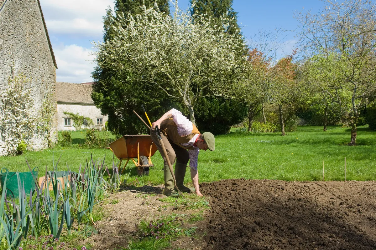5-astuces-pour-ameliorer-la-qualite-de-la-terre-du-potager-avant-le-debut-du-printemps