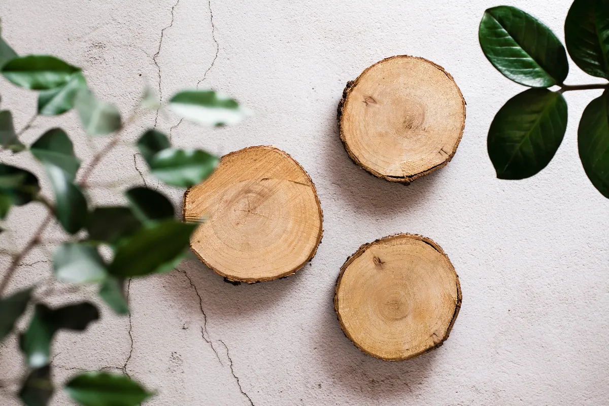 5-idees-deco-pour-reutiliser-un-tronc-darbre-coupe-chez-vous