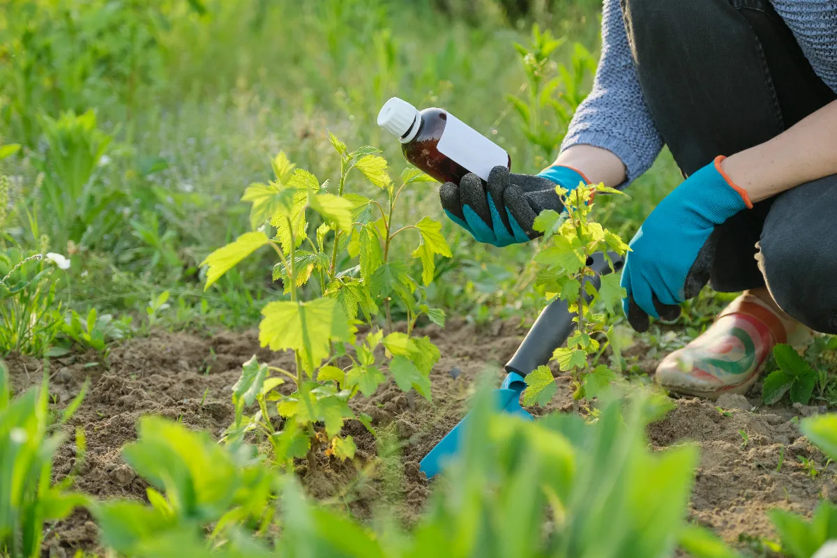 attention-a-cette-lourde-amende-que-vous-risquez-si-vous-utilisez-ces-produits-dans-votre-jardin