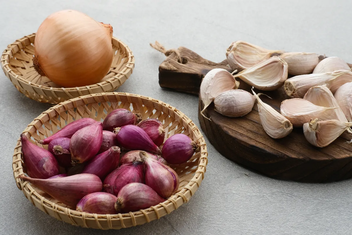 debut-mars-est-ce-le-moment-pour-planter-ail-echalote-et-oignons-voici-la-reponse